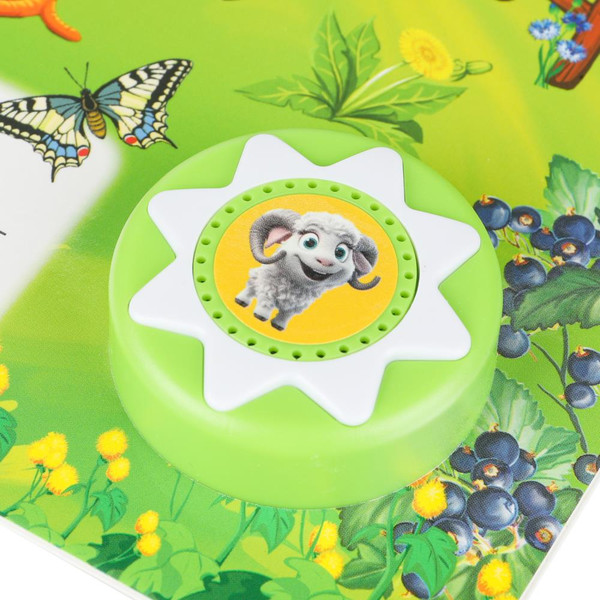 Изображение товара Музыкальная книга Умка Животные фермы, твердая обложка (Дружинина Марина)