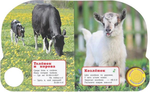 Изображение товара Музыкальная книга Умка Кто как говорит, твердая обложка (Дружинина Марина)