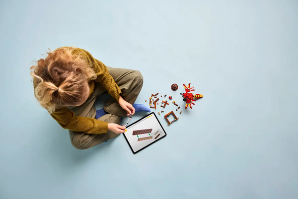 Изображение товара Конструктор Lego Harry Potter Фоукс — Феникс Дамблдора 76448