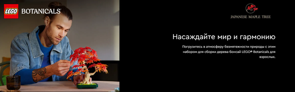 Изображение товара Конструктор Lego Icons Японский красный клен / 10348