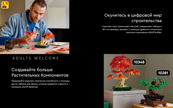 Изображение товара Конструктор Lego Icons Японский красный клен / 10348