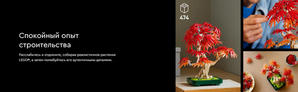 Изображение товара Конструктор Lego Icons Японский красный клен / 10348