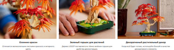 Изображение товара Конструктор Lego Icons Японский красный клен / 10348