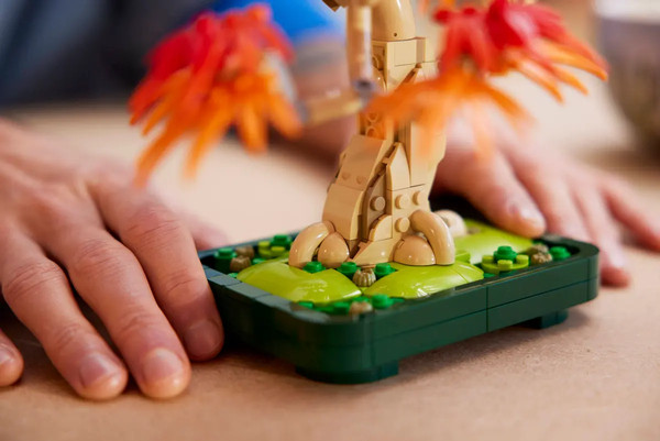 Изображение товара Конструктор Lego Botanical Счастливые растения / 10348