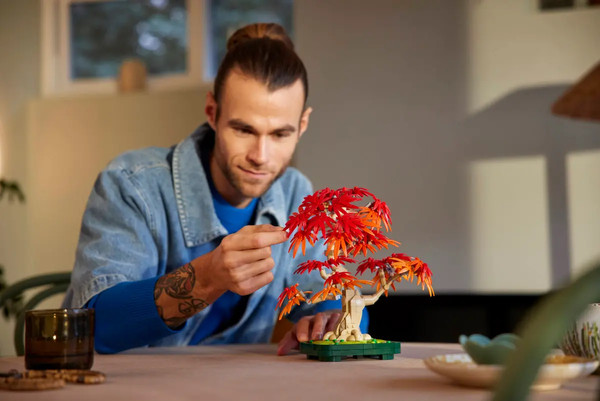 Изображение товара Конструктор Lego Botanical Счастливые растения / 10348