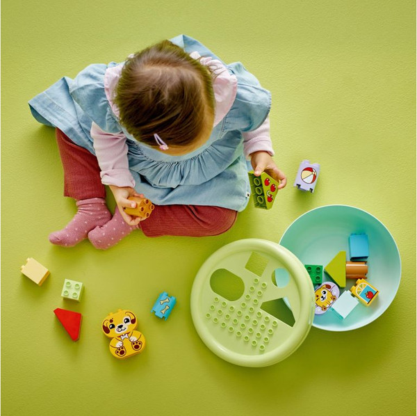 Изображение товара Конструктор Lego Duplo Сортировщик фигур: дом для щенков / 10441