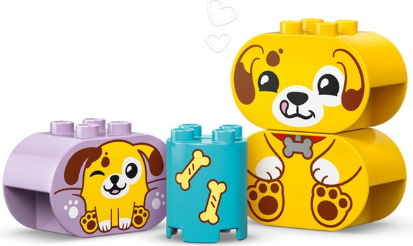 Изображение товара Конструктор Lego Duplo Сортировщик фигур: дом для щенков / 10441