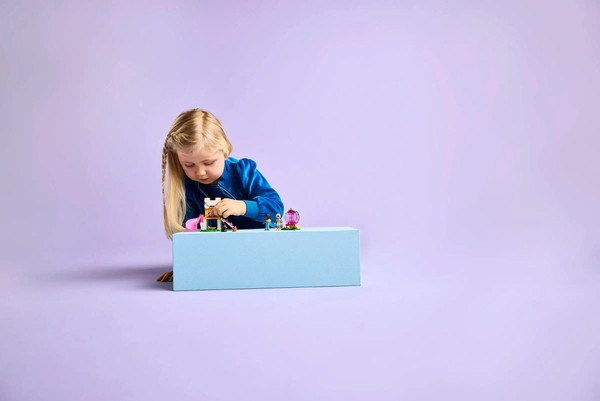 Изображение товара Конструктор Lego Friends Игровая площадка для щенков / 42665