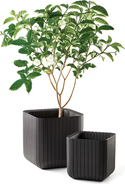 Изображение товара Кашпо Keter Wood Look Cube Planter M / 230225 (графитовый)