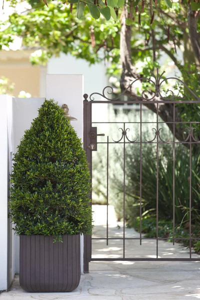 Изображение товара Кашпо Keter Wood Look Cube Planter M / 230225 (графитовый)