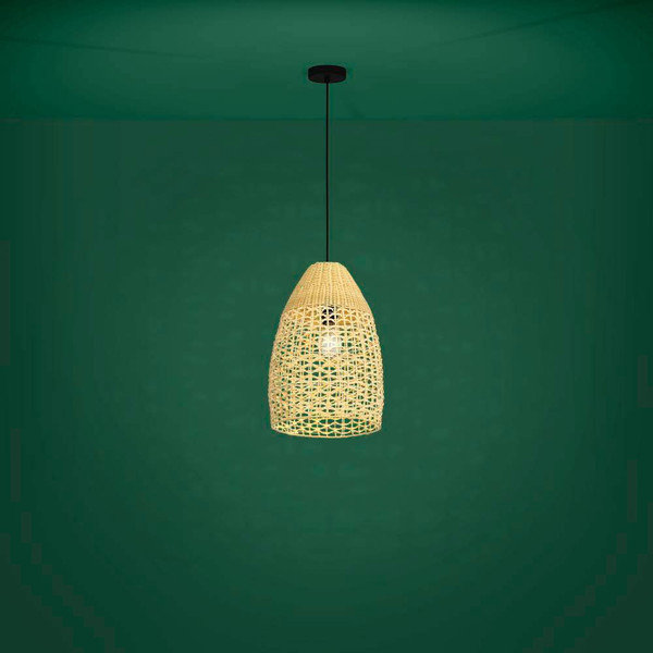 Изображение товара Потолочный светильник Eglo Sambucona 390237