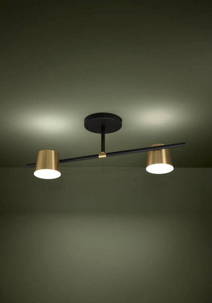 Изображение товара Потолочный светильник Eglo Altamira 39983