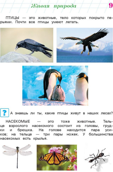 Изображение товара Развивающая книга Эксмо Изучаю мир вокруг: для детей 6-7 лет, мягкая обложка (Липская Наталья)