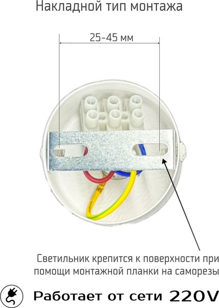 Изображение товара Потолочный светильник Truenergy 21329
