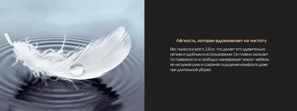 Изображение товара Вертикальный пылесос Hiberg Stylle Q