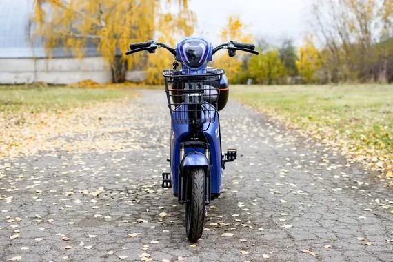 Изображение товара Электровелосипед AVM Delta (синий)