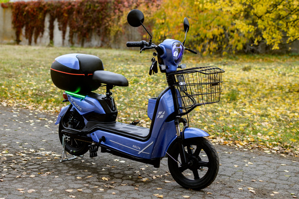 Изображение товара Электровелосипед AVM Delta (синий)