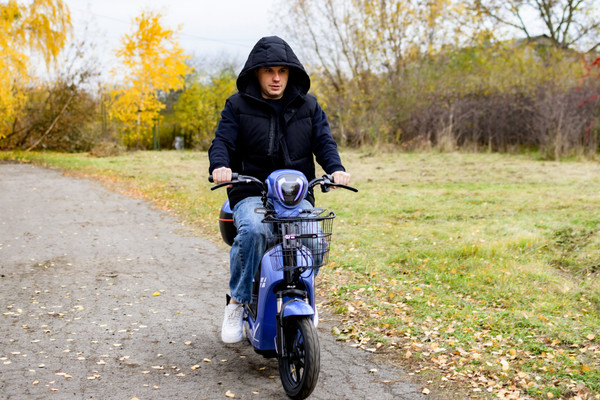 Изображение товара Электровелосипед AVM Delta (синий)