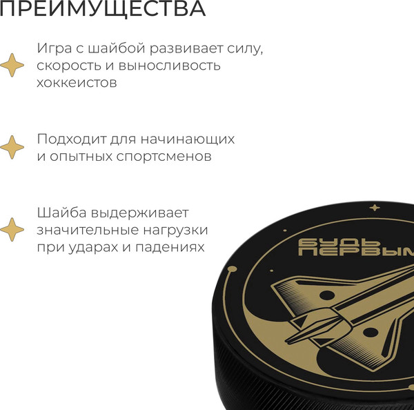 Изображение товара Шайба для хоккея Winter Star 9816480