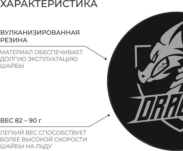 Изображение товара Шайба для хоккея Winter Star 9816481
