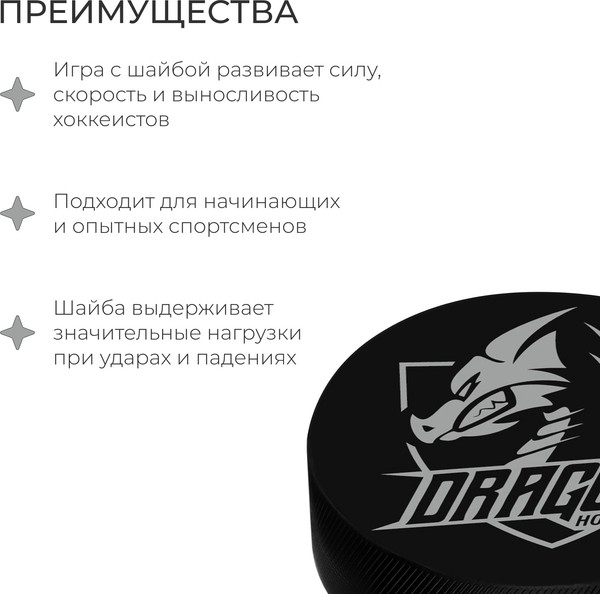 Изображение товара Шайба для хоккея Winter Star 9816481