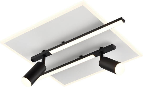 Изображение товара Люстра Lumion Stells 8256/40CL