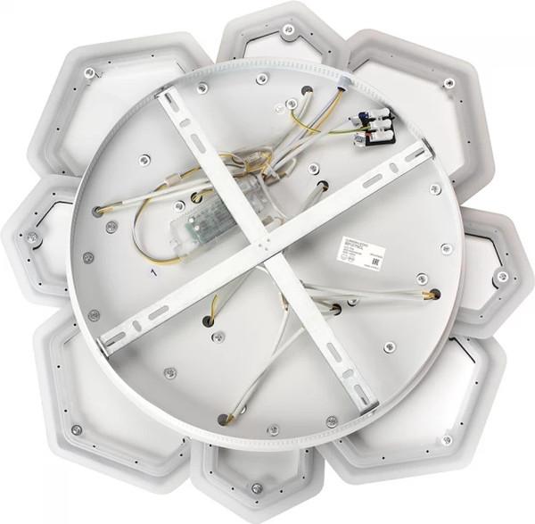 Изображение товара Люстра Lumion Bridge 8012/75CL