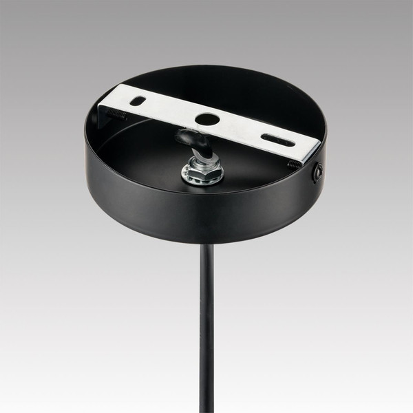 Изображение товара Потолочный светильник Lumion Palermo 8281/4