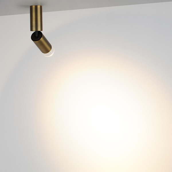 Изображение товара Спот Odeon Light Ligo 7134/8CL