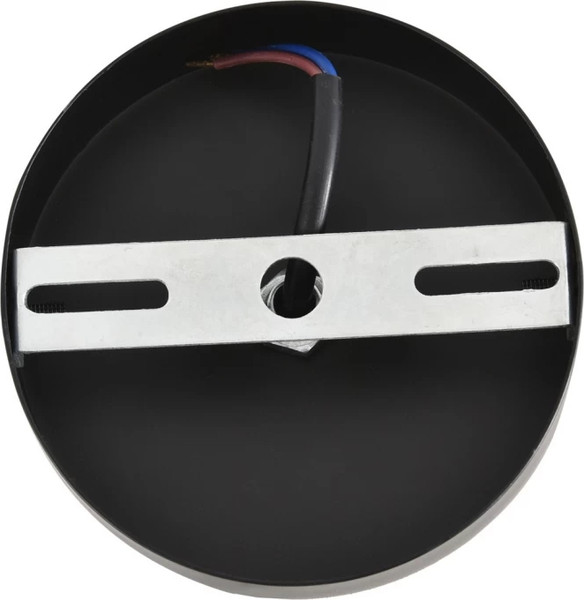 Изображение товара Потолочный светильник Lumion Walma 8299/1A