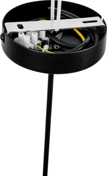 Изображение товара Потолочный светильник Lumion Tune 8302/1