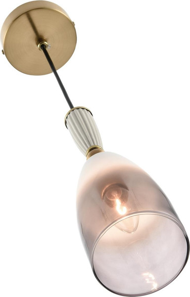 Изображение товара Потолочный светильник Lumion Derbi 8285/1A