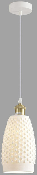 Изображение товара Потолочный светильник Lumion Canestra 8350/1B