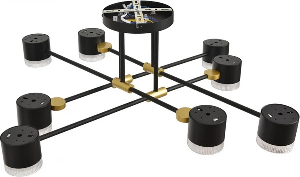 Изображение товара Люстра Lumion Leniana 8307/8C