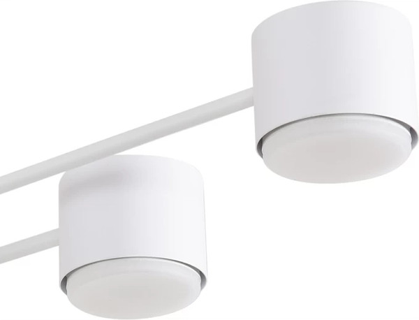 Изображение товара Люстра Lumion Benua 8305/8C