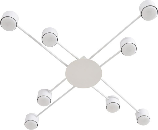 Изображение товара Люстра Lumion Benua 8305/8C