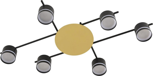 Изображение товара Люстра Lumion Benua 8304/6C