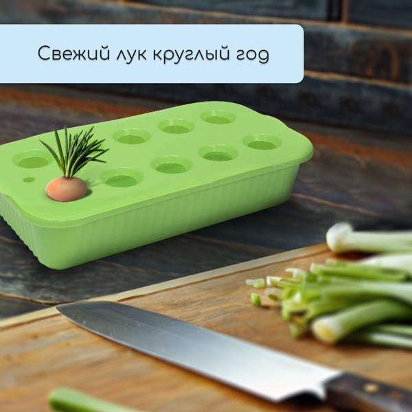 Изображение товара Ящик для рассады GREENGO для выращивания зеленого лука / 9035821 (зеленый)