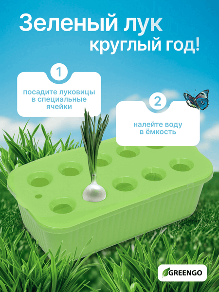 Изображение товара Ящик для рассады GREENGO для выращивания зеленого лука / 9035821 (зеленый)
