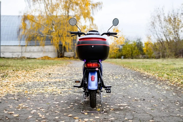 Изображение товара Электровелосипед AVM Delta pm1168630205