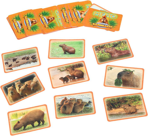 Изображение товара Настольная игра Умные игры Мемо. Веселые капибары / 4630395044738