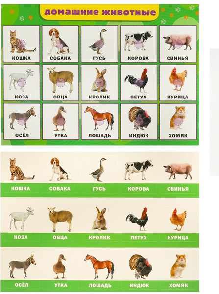 Изображение товара Развивающая игра Умные игры Домашние животные. Развивающие липучки-лото / 4660254430495