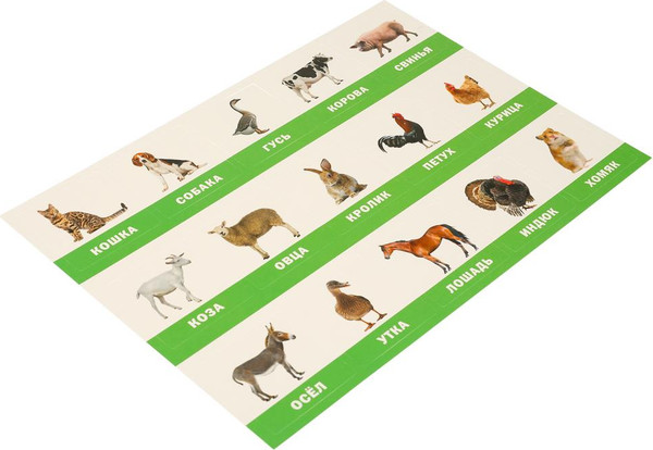 Изображение товара Развивающая игра Умные игры Домашние животные. Развивающие липучки-лото / 4660254430495