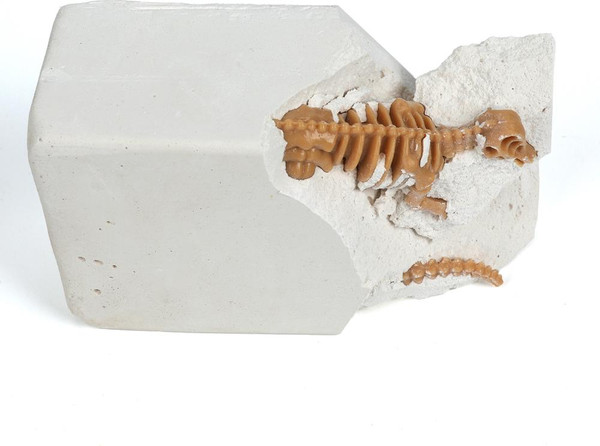 Изображение товара Набор для опытов IQ Эксперимент Раскопки / EJP-01-B