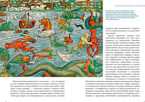 Изображение товара Набор нехудожественных книг КоЛибри Магические животные. Магические растения (Маркезини Р. и др. 9785389307612)