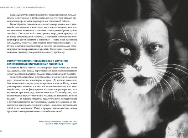 Изображение товара Набор нехудожественных книг КоЛибри Магические животные. Магические растения (Маркезини Р. и др. 9785389307612)