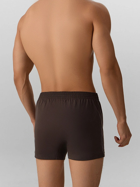 Изображение товара Трусы мужские Mark Formelle 411152 (р.106-116, коричневый-1)