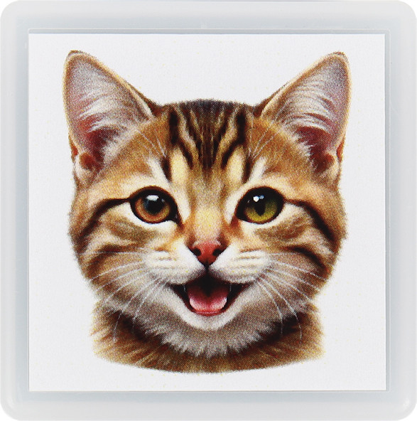 Изображение товара Фломастер-штамп Darvish Мордочка котика / DV-15911A