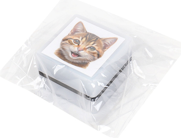 Изображение товара Фломастер-штамп Darvish Мордочка котика / DV-15911A