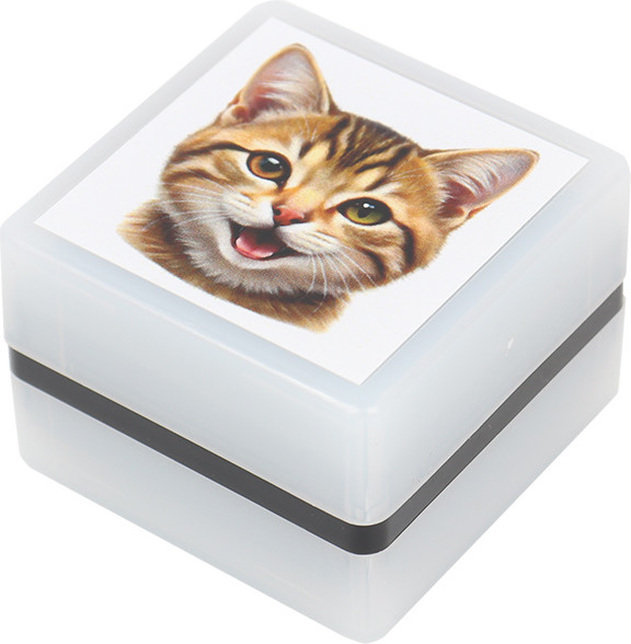 Изображение товара Фломастер-штамп Darvish Мордочка котика / DV-15911A